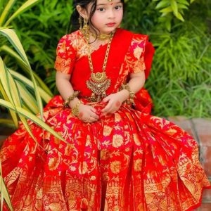 চান্দেরি সিল্ক রেডি শাড়ী (code 102)